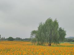-良渚古城遗址公园