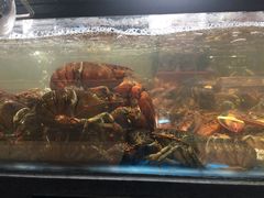 -盒马鲜生(曜一城店)
