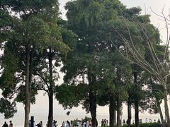 -深圳湾公园(南山区)