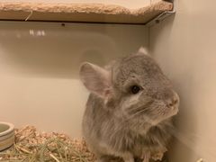 -龙猫仔乐园(惠福东路店)