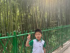 -四门塔风景区