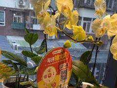 -懒人盐府人家(航天桥店)