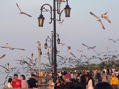 -东港音乐喷泉广场