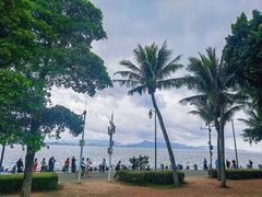 -深圳湾公园(南山区)