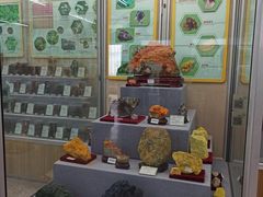 -北京中医药大学-中医药博物馆