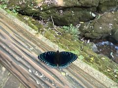 -溪口-滕头旅游景区