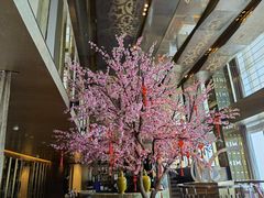 -金轩中餐厅 Jin Xuan(浦东丽思卡尔顿酒店)