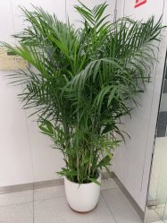 -魔型社烫染店