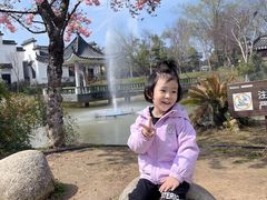 -武汉紫薇都市田园