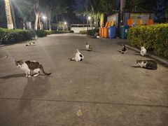 -味友·厦门味(集美店)