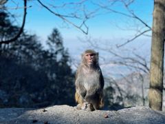 -庐山风景名胜区