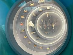 -中国湿地博物馆