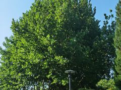 -北京宽沟会议中心