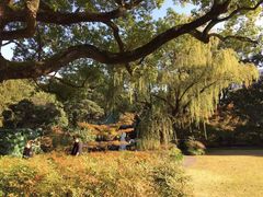 -申粤轩酒楼·三十年粤菜经典(丁香花园店)