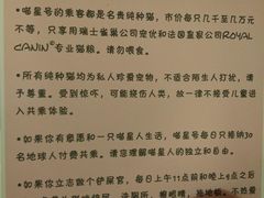 -猫咪博物馆(顶澳仔猫街店)