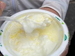 -德禄酸奶(莫家街店)