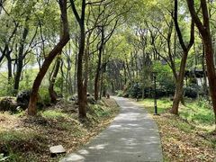 -汤山公园