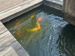 -南北湖湖光山居度假酒店