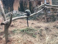 -宁波野生动物园