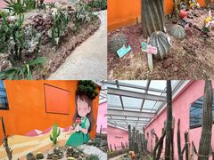 -正佳雨林生态植物园