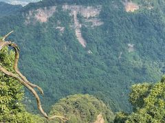 -青城山