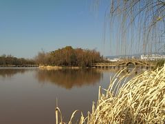 景点-西昌邛海湿地