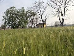 -嘉北郊野公园