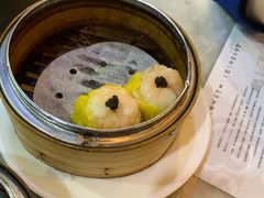 -糖朝(尖沙咀店)