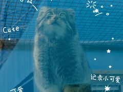 -青藏高原野生动物园
