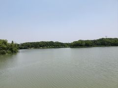 -昆山城市生态森林公园