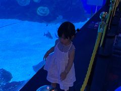 -成都浩海立方海洋公园