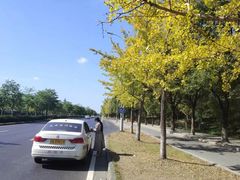 -胜华驾校·小猫学车(银都店)