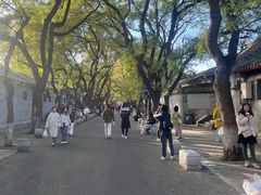 -北京国子监胡同