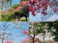 -盈香心动乐园