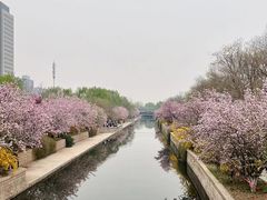 -元大都城垣遗址公园