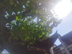 -龙潭水乡