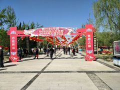 -曹州牡丹园