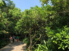 -高榜山景区