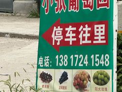 -马陆小张葡萄园农家乐