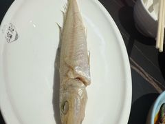 特色鱼饭-吴记富苑(朝阳店)