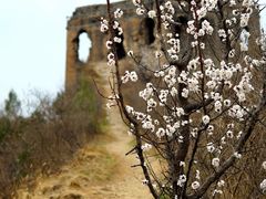 -蟠龙山长城景区