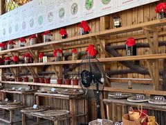 -海南槟榔谷黎苗文化旅游区