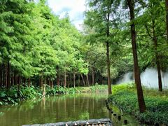 -尚湖风景区