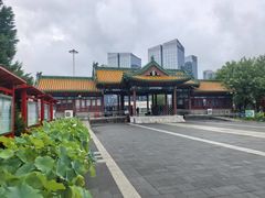 -莲花池公园