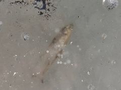 -卧龙湖