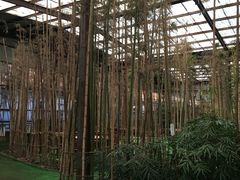 -呀路古热带植物园