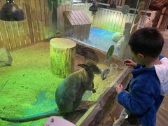 -太阳岛度假酒店