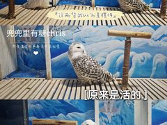 -成都浩海立方海洋公园