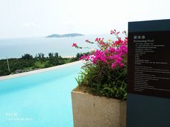 -瑰丽酒店·海吧·天际下午茶·现场DJ·天台酒吧