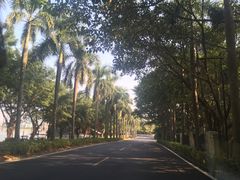 -仙湖旅游度假区